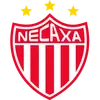 内卡萨