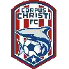 科珀斯克里斯蒂